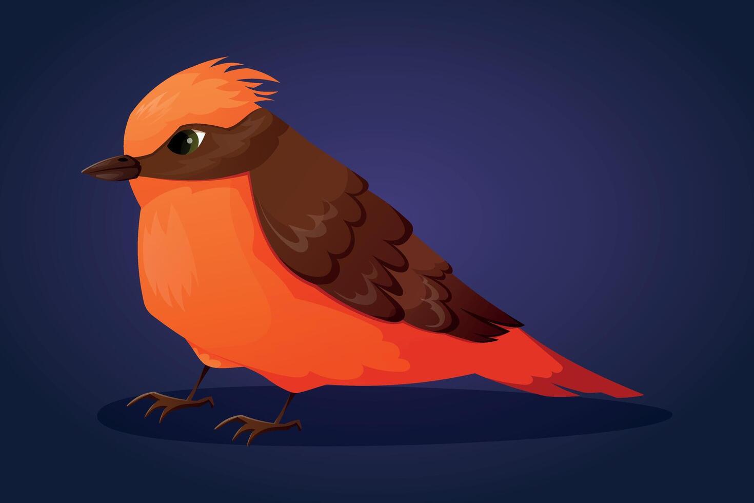 Beautiful bright orange tufted Vermilion Flycatcher bird. isolated cartoon illustration. vector