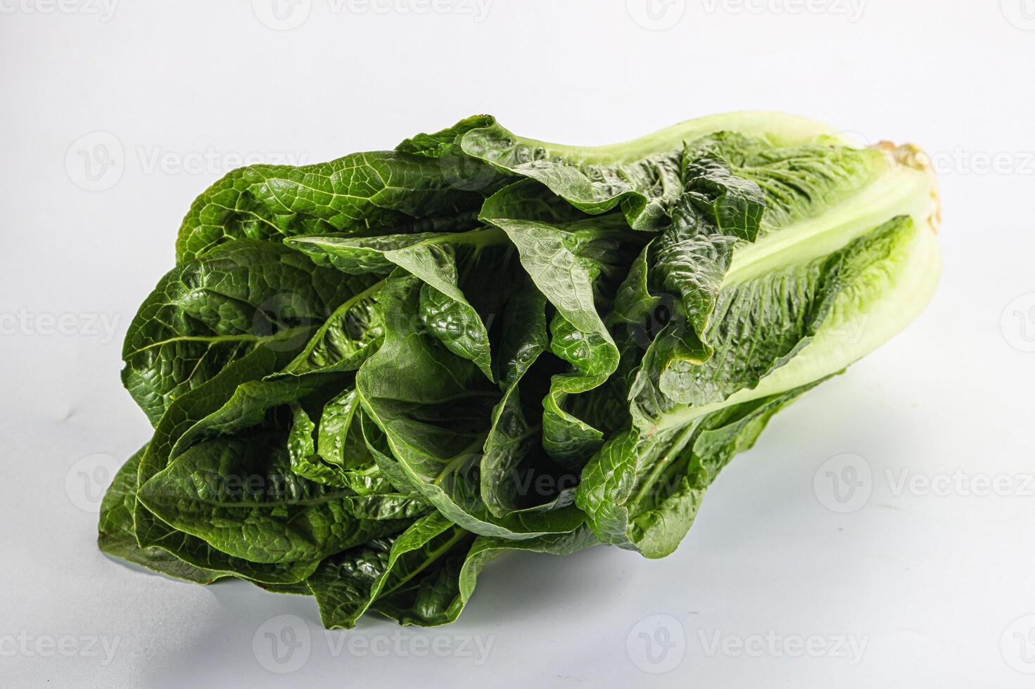 Green fresh juicy Romano salad photo