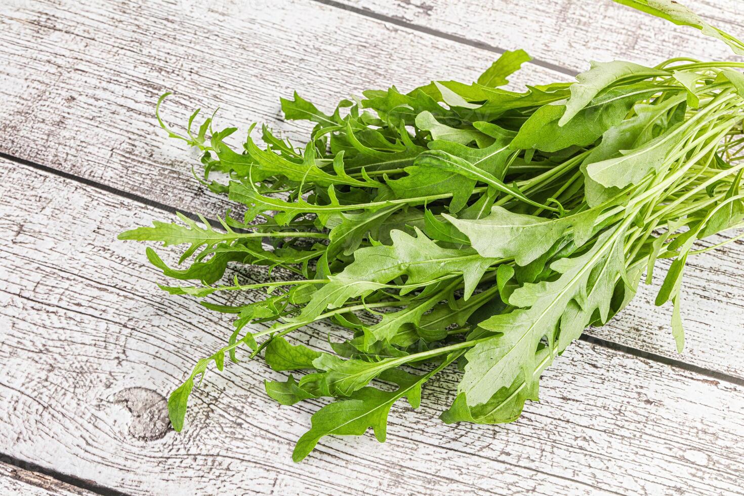 Fresh tasty natural organic rucola photo