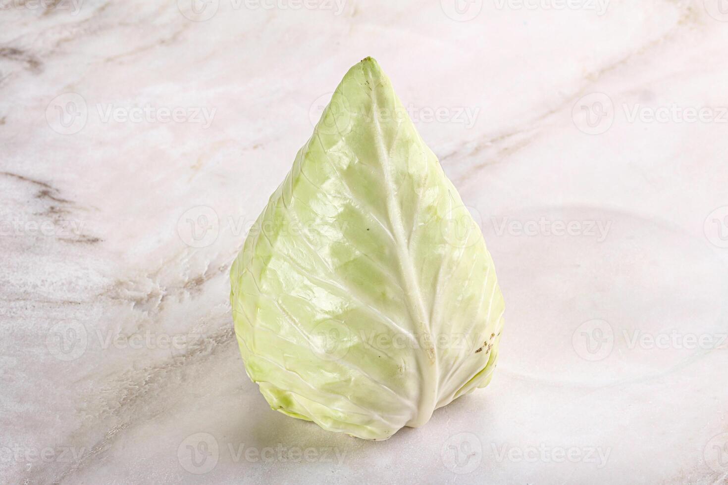 Cone sweetheart ripe green cabbage photo