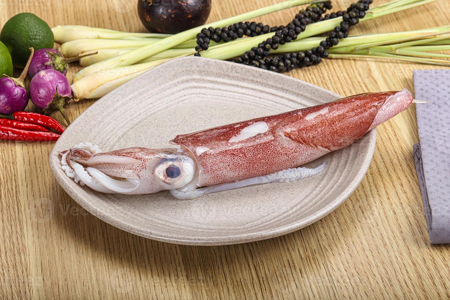 Raw fresh squid for cooking photo