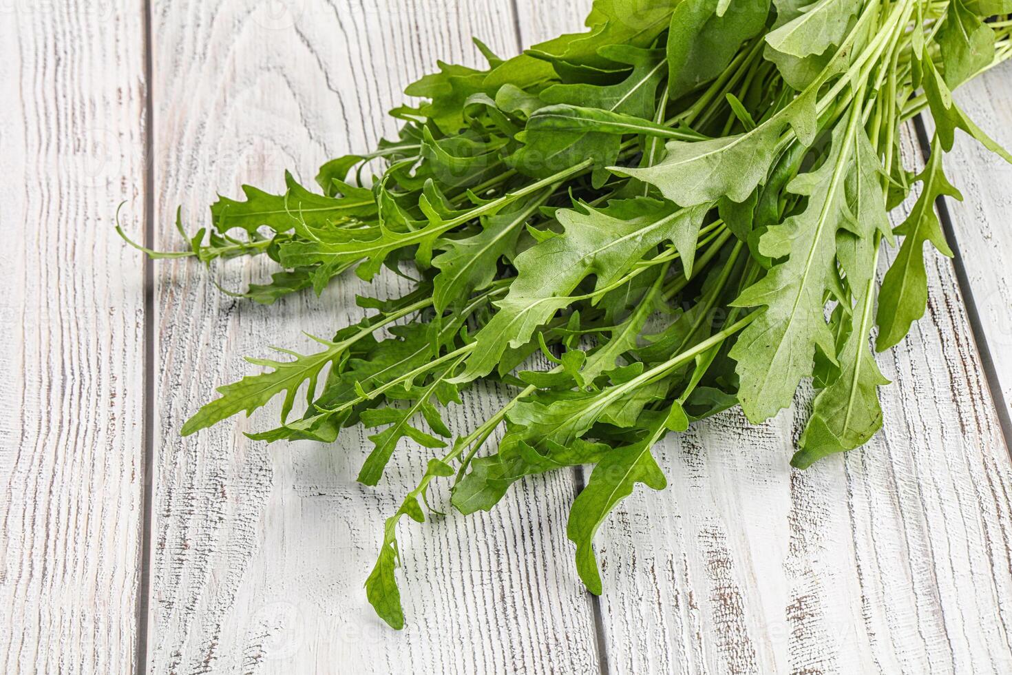 Fresh tasty natural organic rucola photo