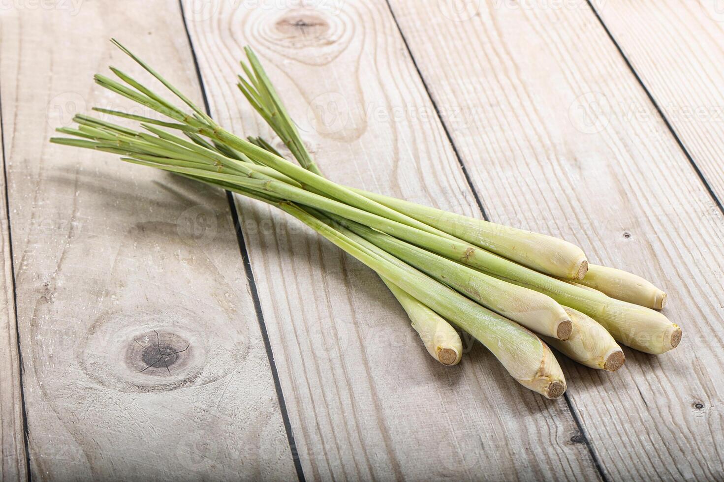 Lemongrass - Asian aroma plant for cooking photo