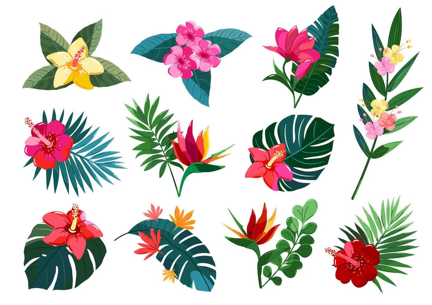 A collection flower designs. vector