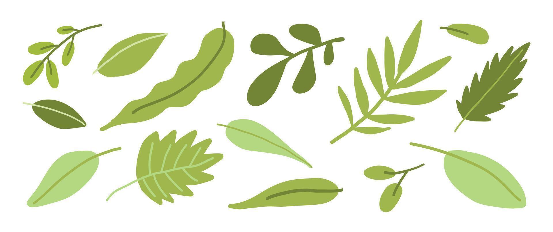 A collection of green leaves in various shapes and shades, illustrated in a flat design style, ideal for botanical and eco-themed projects. vector