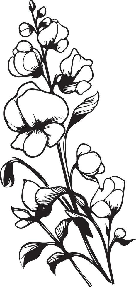 Cute flower coloring pages, Sweet pea drawing, Sweet pea drawings, Hand drawn botanical summer elements bouquet of Sweet pea line art coloring page, easy flower drawing. Sweet pea flower art vector