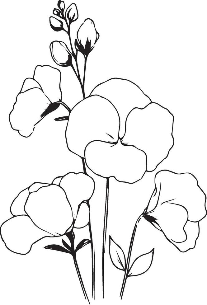 Cute flower coloring pages, Sweet pea drawing, Sweet pea drawings, Hand drawn botanical summer elements bouquet of Sweet pea line art coloring page, easy flower drawing. Sweet pea flower art vector