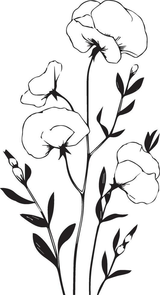 Sweet pea isolated, hand-drawn floral element. illustration bouquet of Sweet pea , sketch art beautiful Sweet pea flower tattoo, coloring page for adults vector