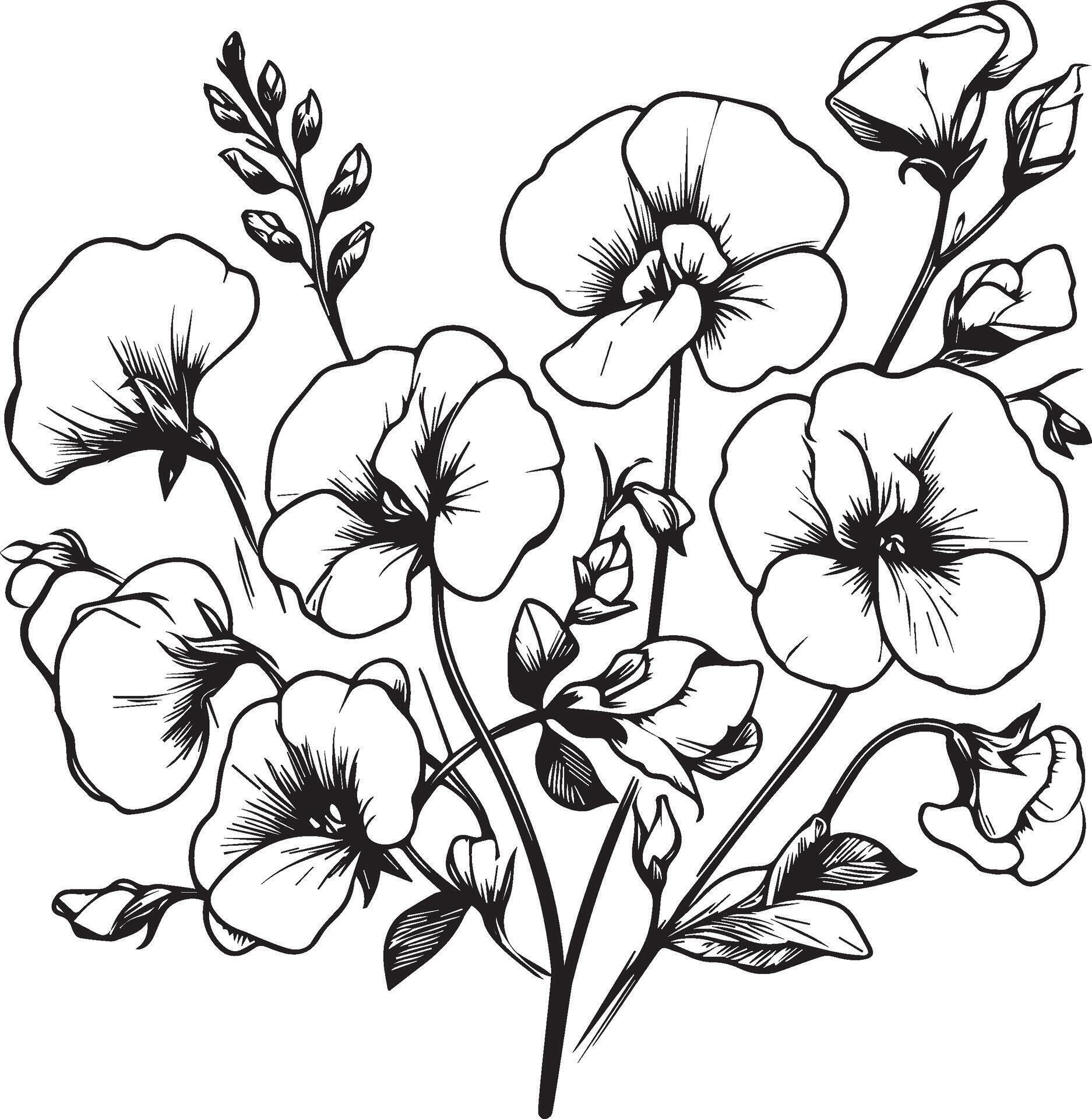 My Image 19