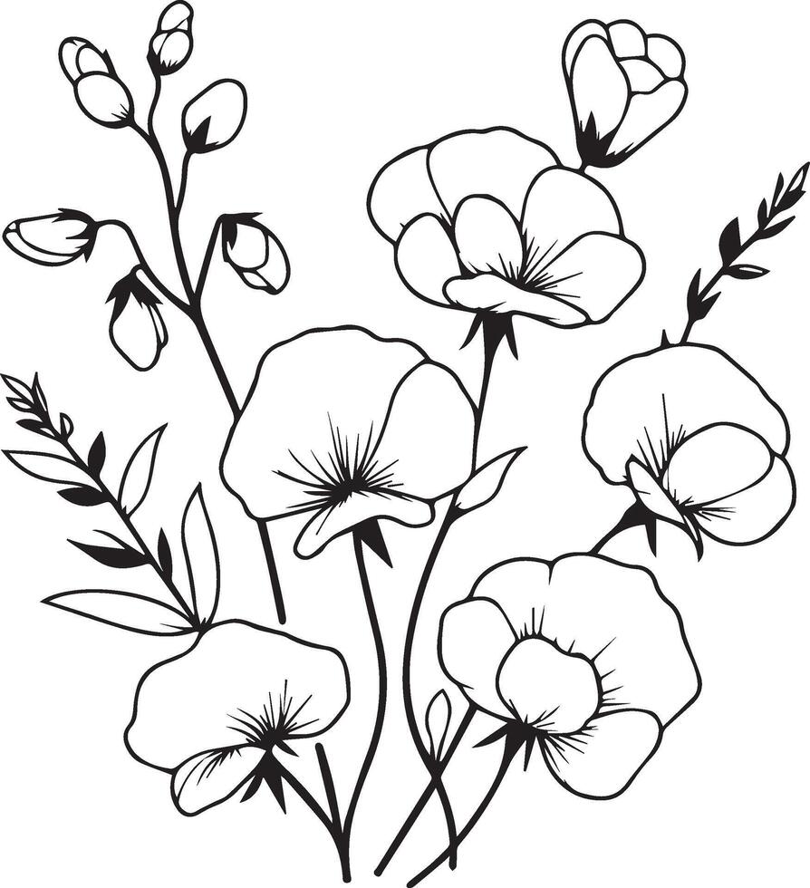 Delicate sweet pea tattoo. sweet pea illustration, beautiful sweet pea cathartic flower bouquet, hand-drawn coloring pages and book of artistic, blossom sweet pea, engraved ink art vector