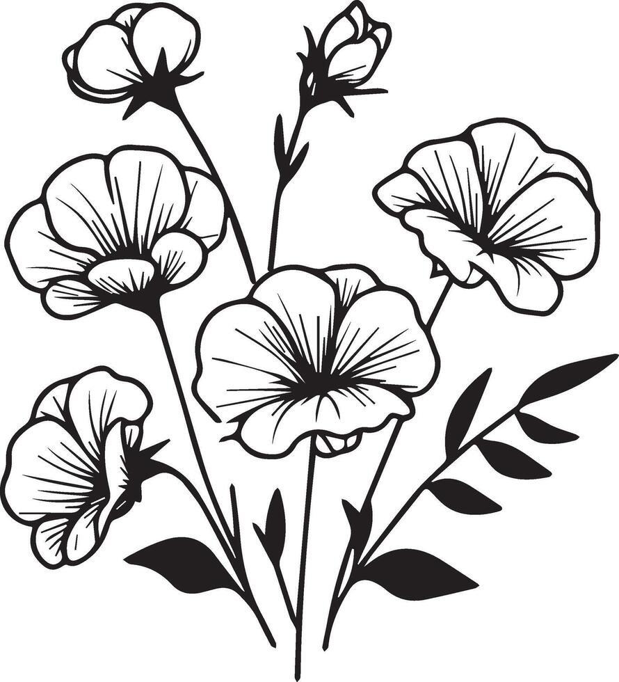 Sweet pea flower drawings, sweet pea flowers colorless black and white contour line easy drawings, Hand drawn line leaves branches and blooming sweet pea coloring pages vector