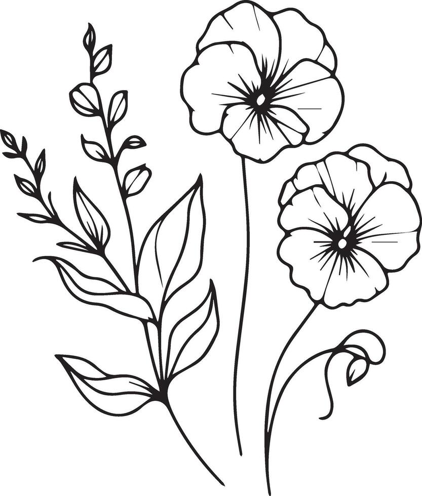 Minimilist sweet pea tattoo drawings, sweet pea flower coloring pages for kids, hand drawn sweet pea flwoers, small sweet pea tattoo drawings, black and white sweet pea flower line art vector