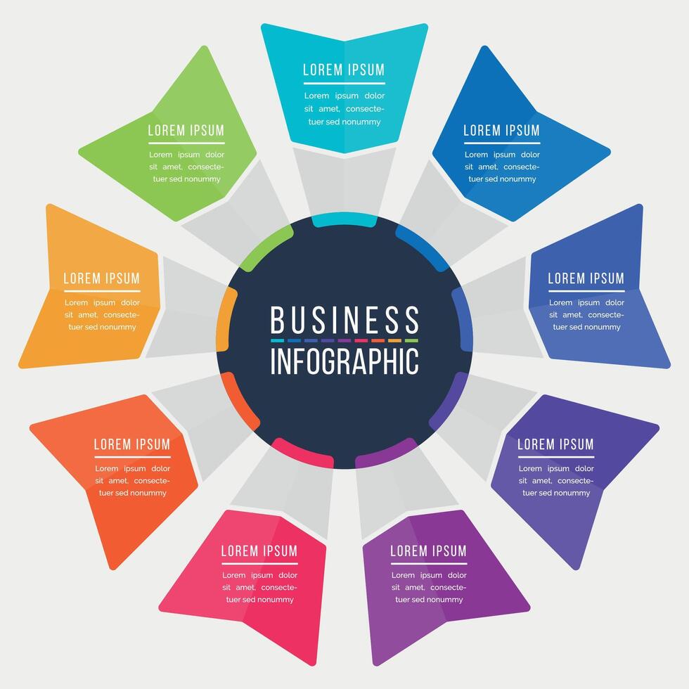 Infographic design circle 9 steps, objects, options or elements business information colored vector