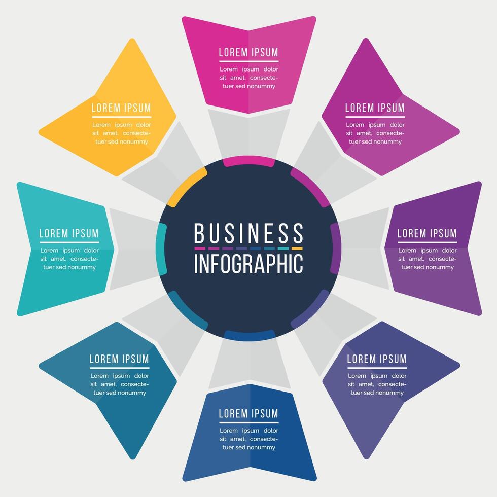 Infographic design circle 8 steps or options business information colored template vector