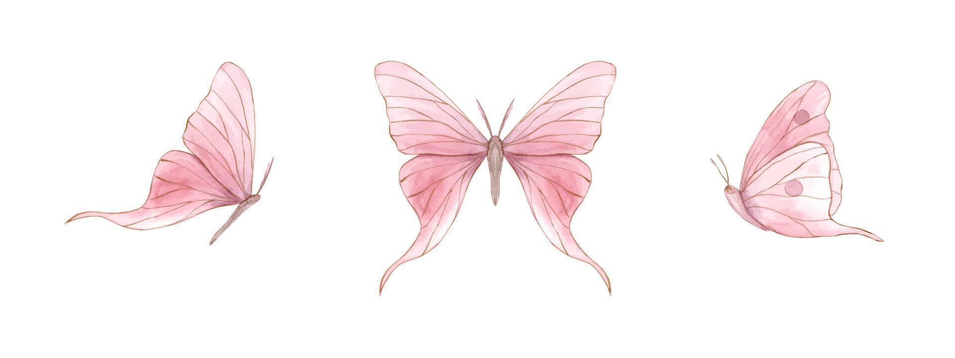 Decorative abstract butterfly. Butterflies set. Pink insects with gold outline. Watercolor illustration of fluttering lepidoptera. For wedding invitations, birthday cards, greetings. vector