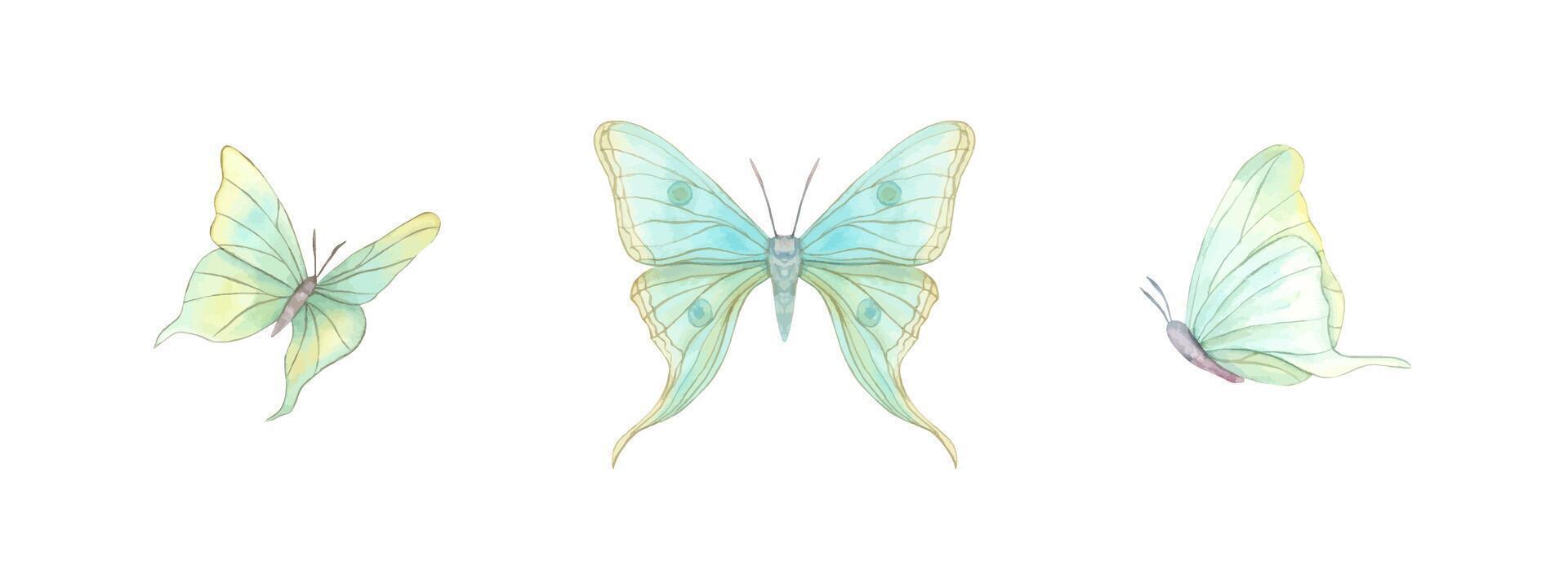 revoloteando mariposas conjunto de resumen acuarela tropical insectos mano dibujado ilustración. decorativo elementos para Arte deco diseño. para textil, Boda invitación, saludos vector