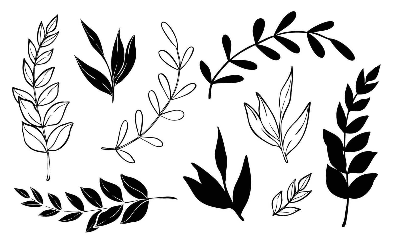 plants and branches with leaves set. Hand drawn botanical illustration painted by black inks on isolated background in outline style. Silhouette of nature elements for icon or logo. Line art vector