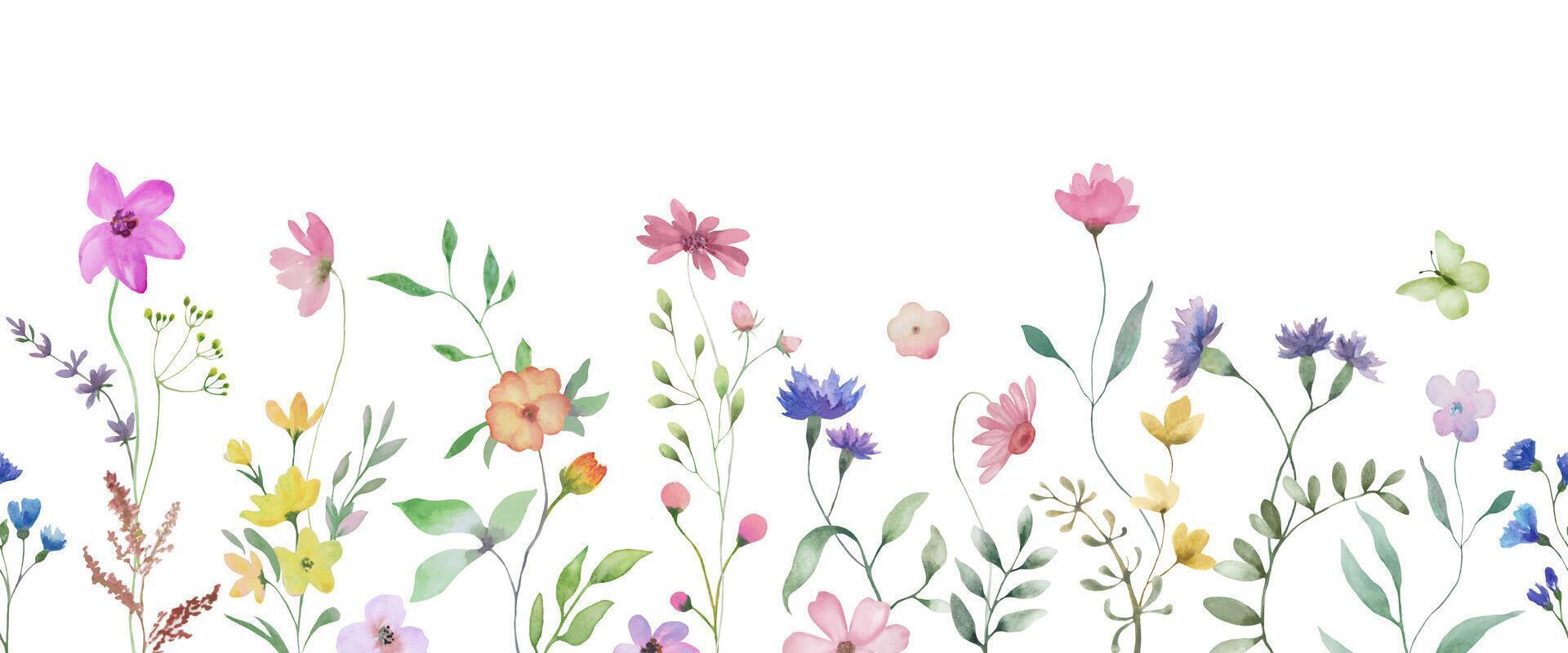 Seamless watercolor border. Hand drawn floral illustration isolated on white background. vector