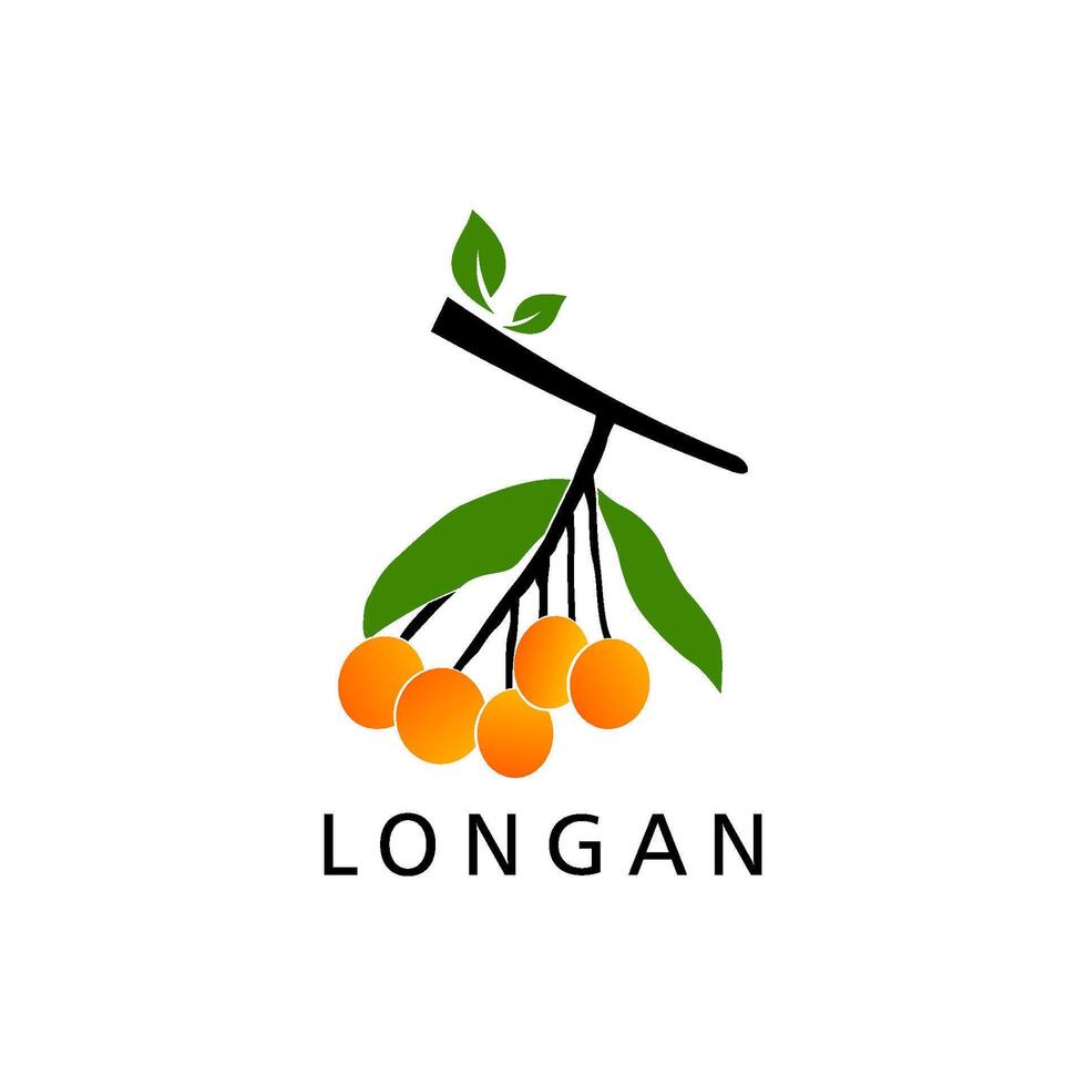longan Fruta logo modelo ilustración diseño vector