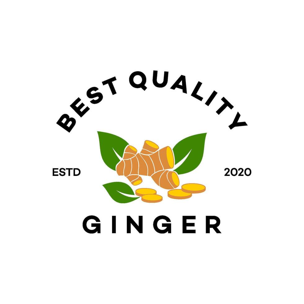 ginger logo template illustration design vector