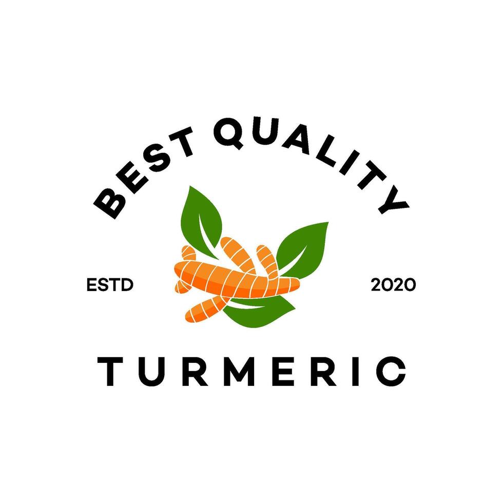 turmeric logo template illustration design vector