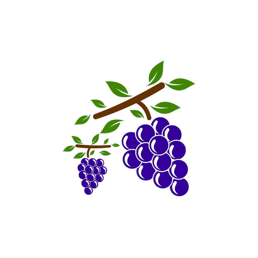 vino Fruta logo modelo ilustración diseño vector