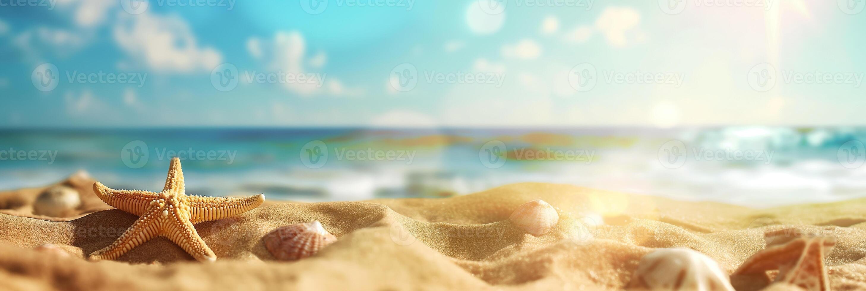 A beach scene with a starfish and a bunch of shells photo