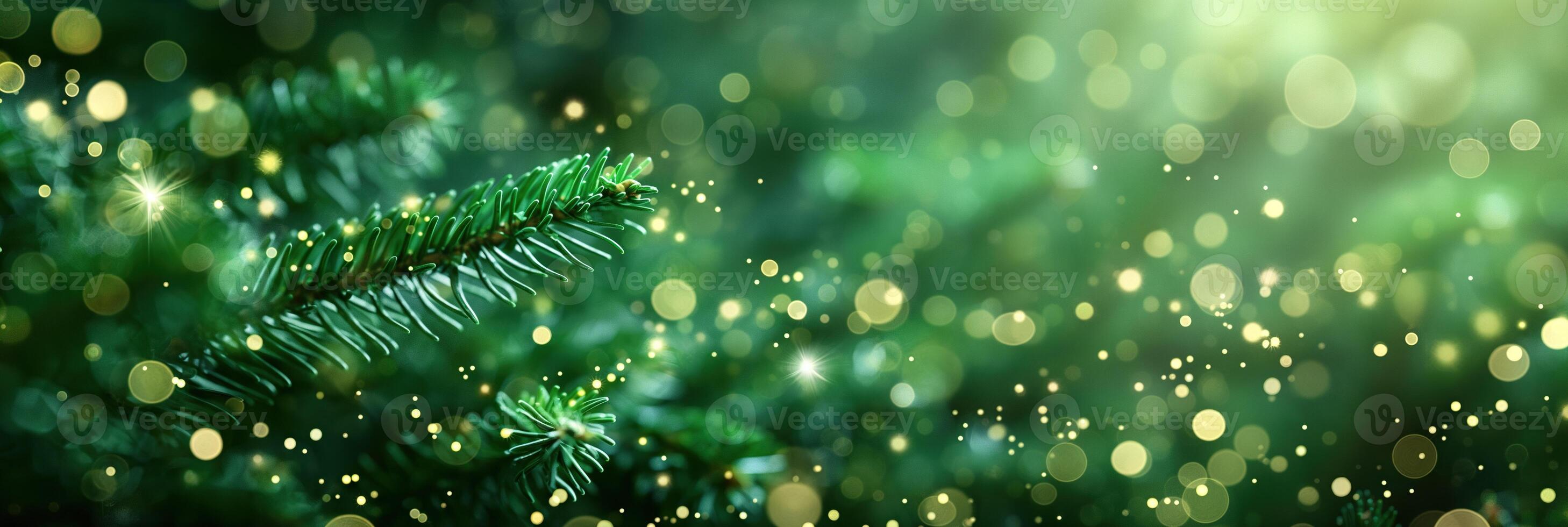 Lush pine branches with twinkling golden lights and soft glow. Christmas banner background photo