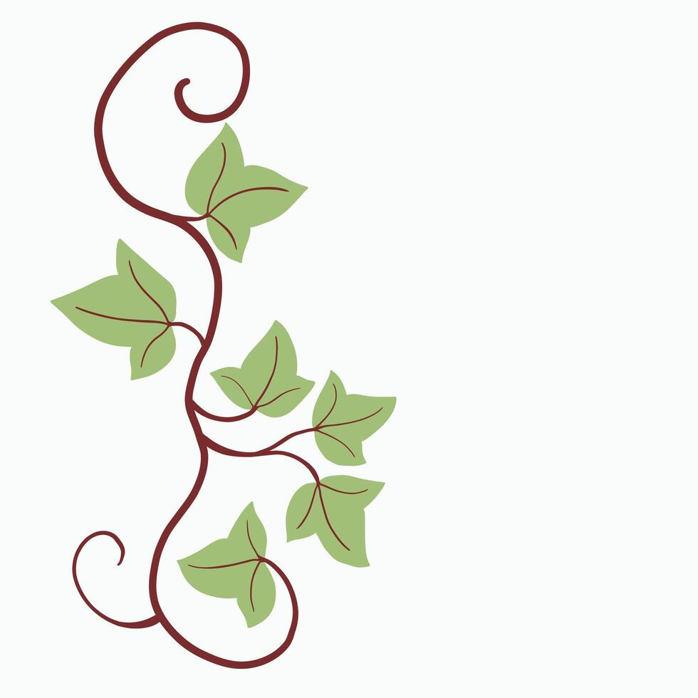 Floral ivy drawing decorative ornament flat design. vector