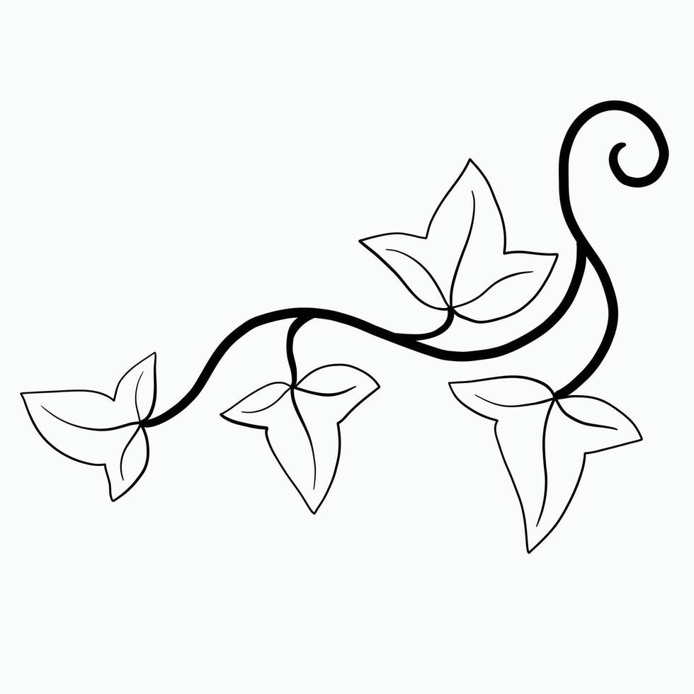 Floral ivy drawing decorative ornament flat design. vector