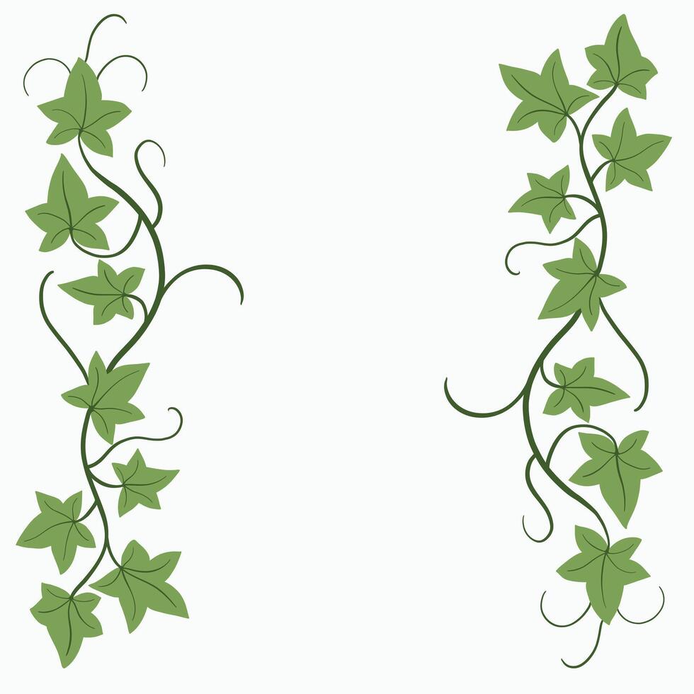 Floral ivy drawing decorative ornament flat design. vector