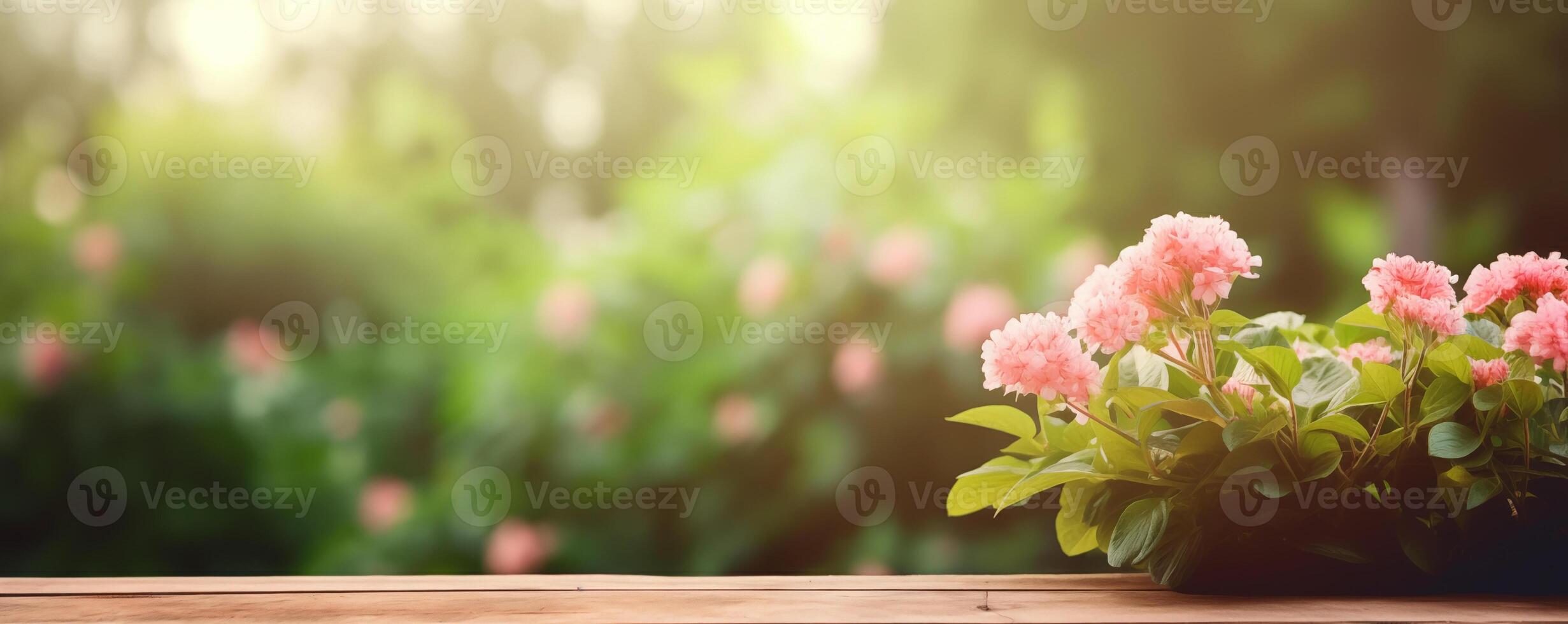 Banner of blooming pink hydrangeas on wooden table with green backdrop photo