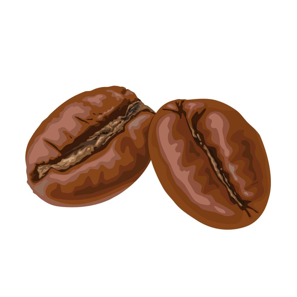 Illustration, close up view of roasted coffee beans, isolated on white background. vector