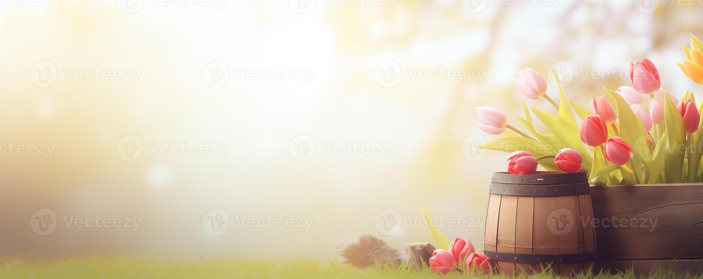 Banner with soft-focus tulips in a basket and wooden barrel on grass photo
