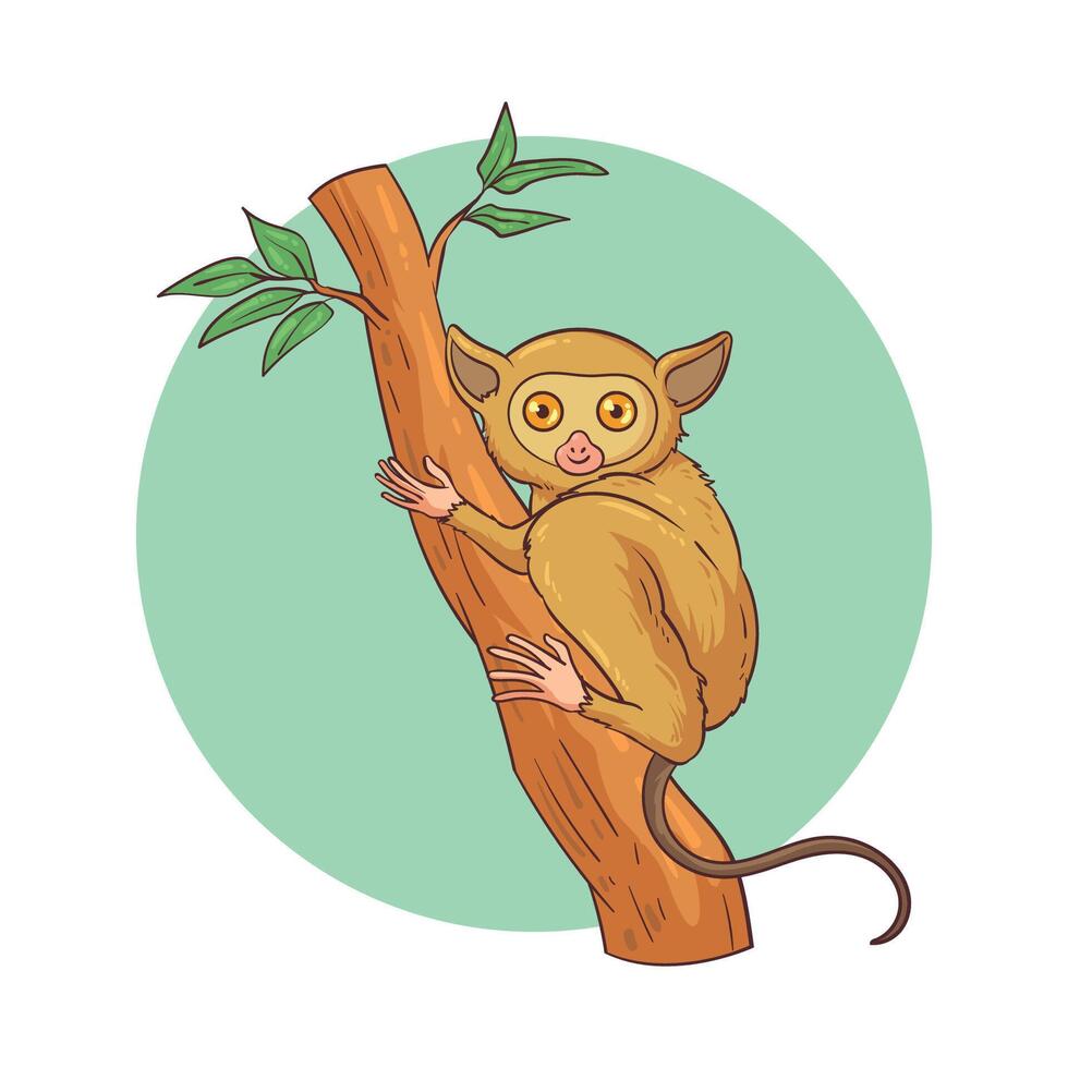 hand drawn tarsier animal vector