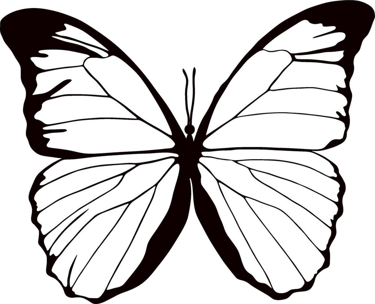 monochrome butterfly Beautiful insect with big black wings. Drawing of a flying beetle.Suitable for sandblasting, laser and plotter cutting. vector