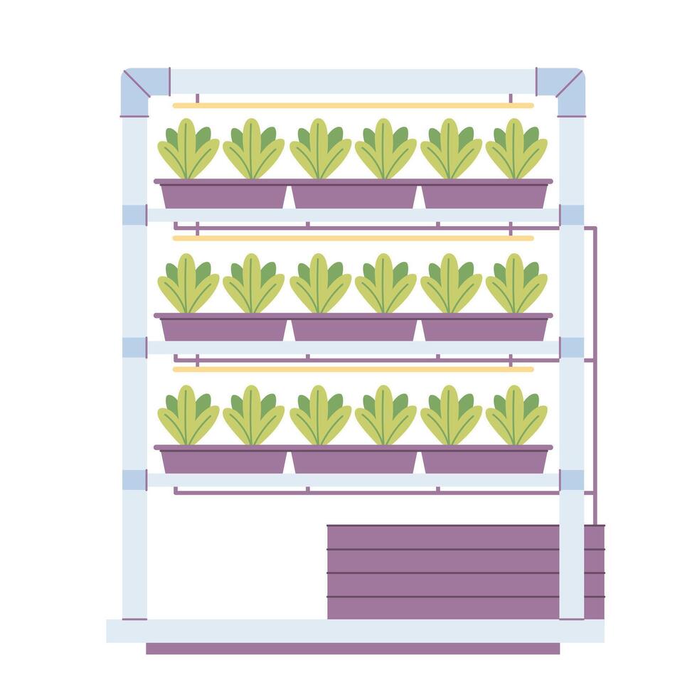 Hydroponics technology for plants growing. Vertical farming. Smart farm vector