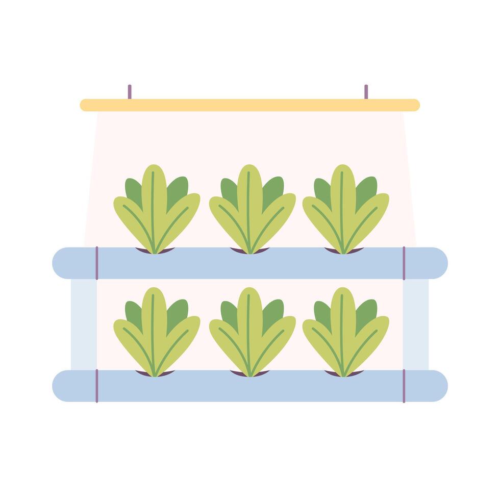 Hydroponics technology for plants growing. Vertical farming. Smart farm vector