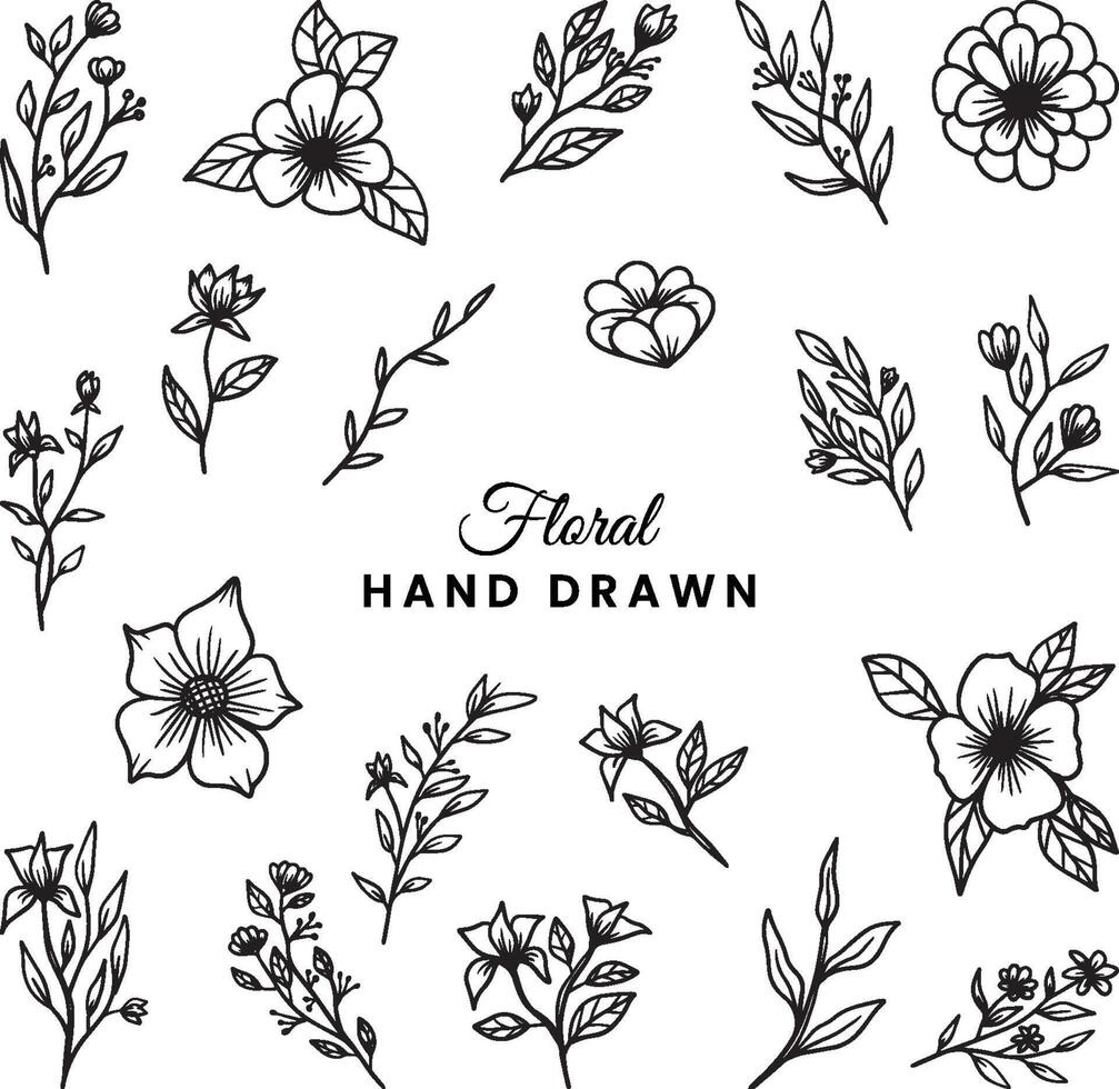 Collection of hand drawn leaves and flower organic botanical floral decorative vector