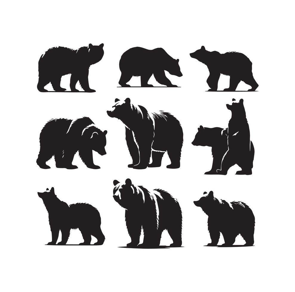 bear silhouette isolated on the white background vector