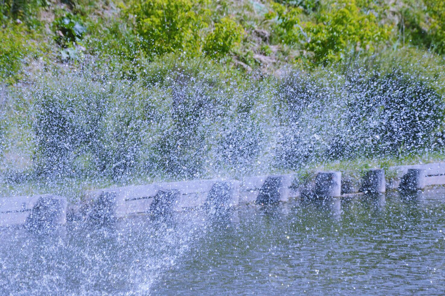 Beautiful drops of water splashing from a fountain on a summer sunny day. photo