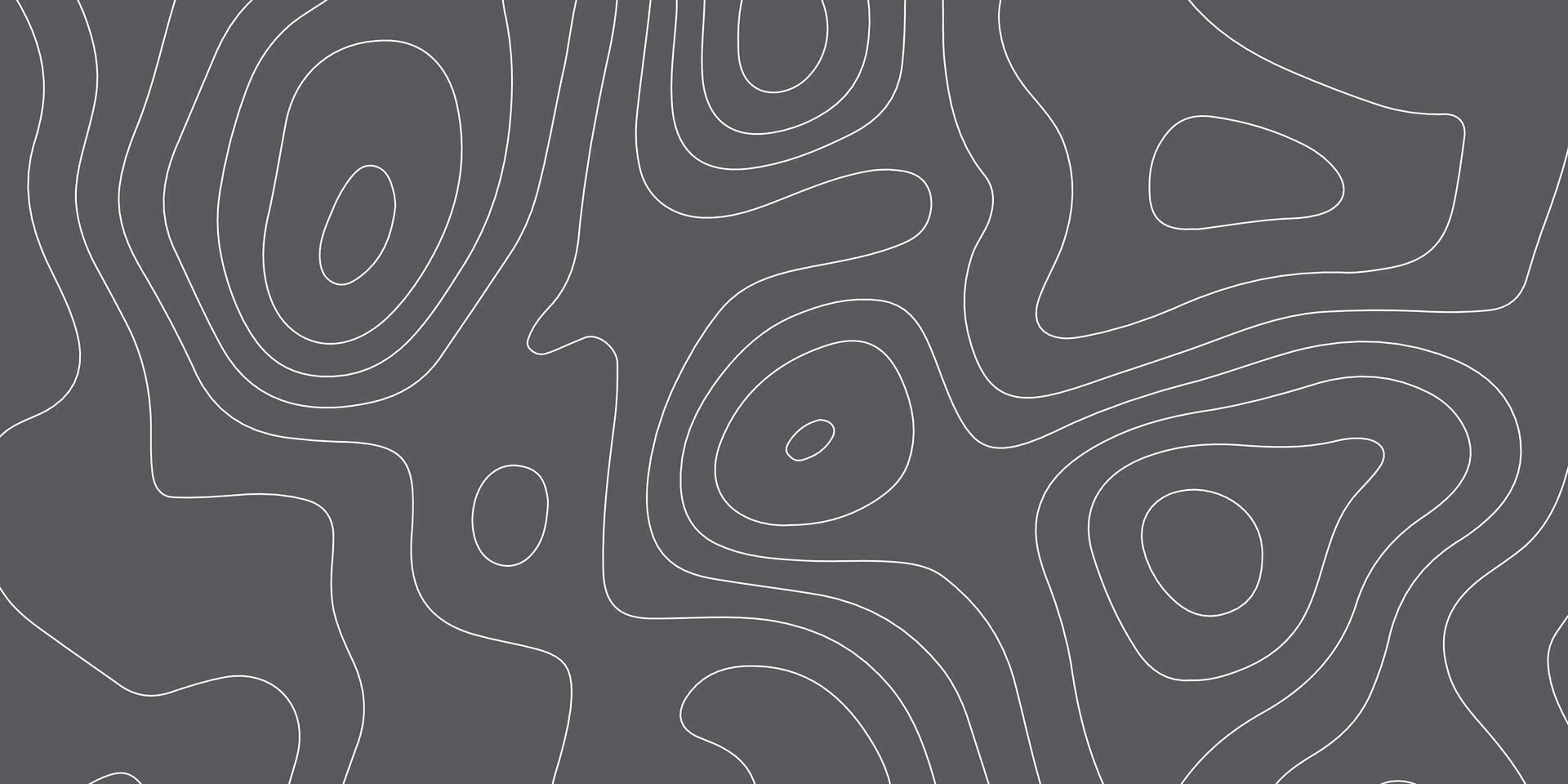 abstract pattern with lines. background of the topographic map. elevation contouring outline cartography texture. geographic abstract grid. futuristic wireframe lands. black and white seamless pattern vector