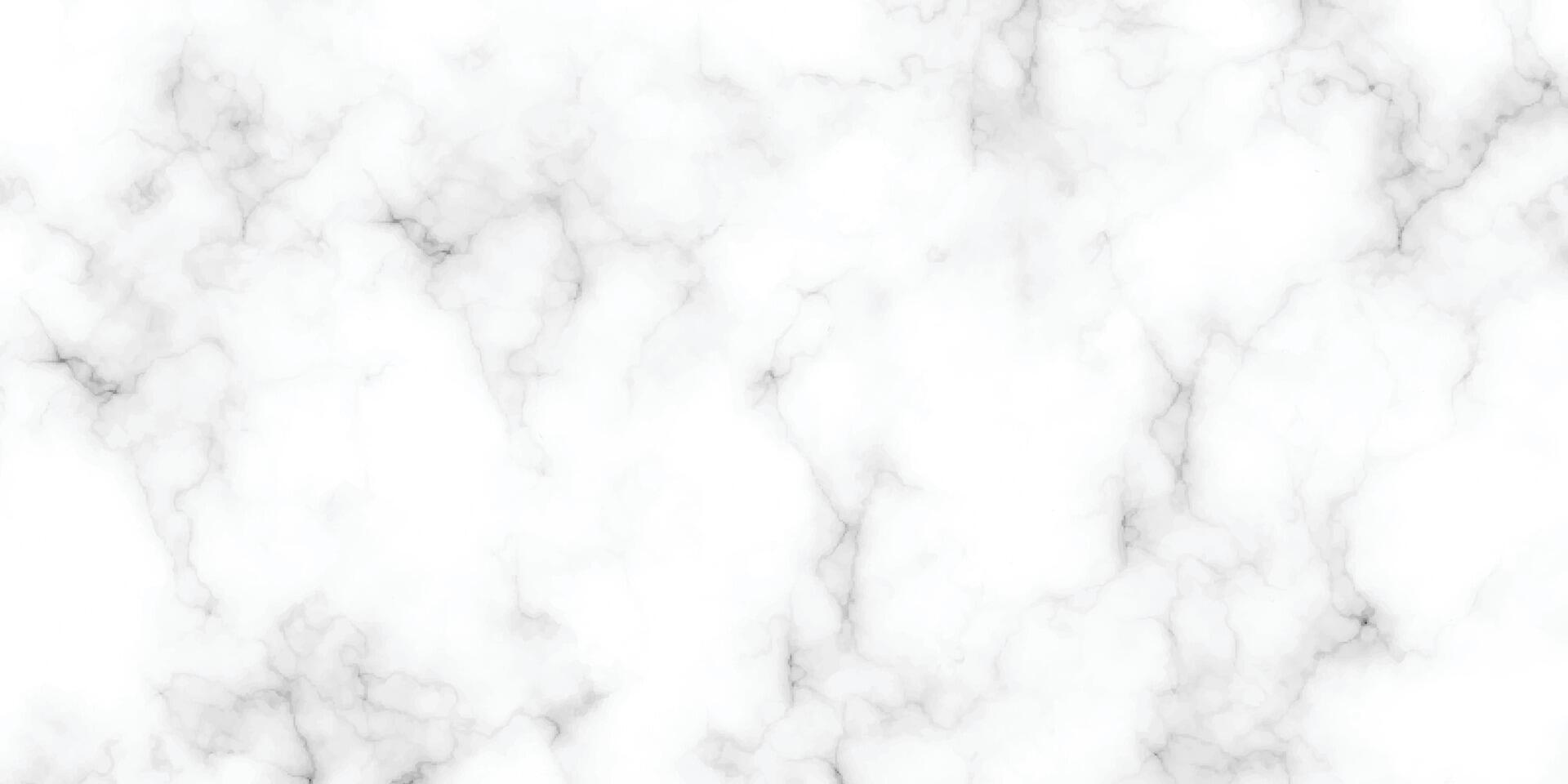 marble granite white panorama background. abstract light elegant black do floor, ceramic texture stone slab. marble texture background with high resolution. vector