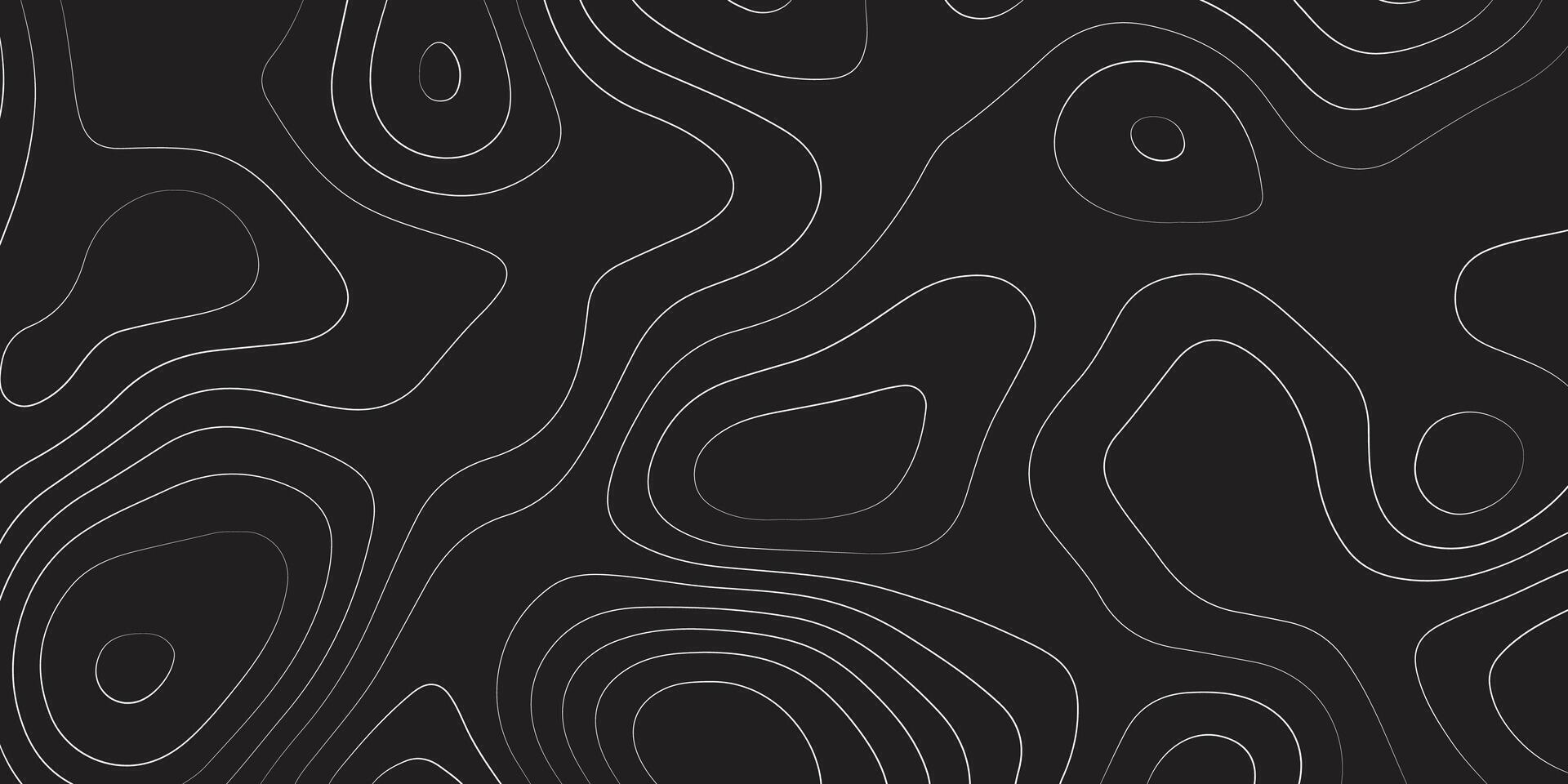 abstract pattern with lines. background of the topographic map. elevation contouring outline cartography texture. geographic abstract grid. futuristic wireframe lands. black and white seamless pattern vector
