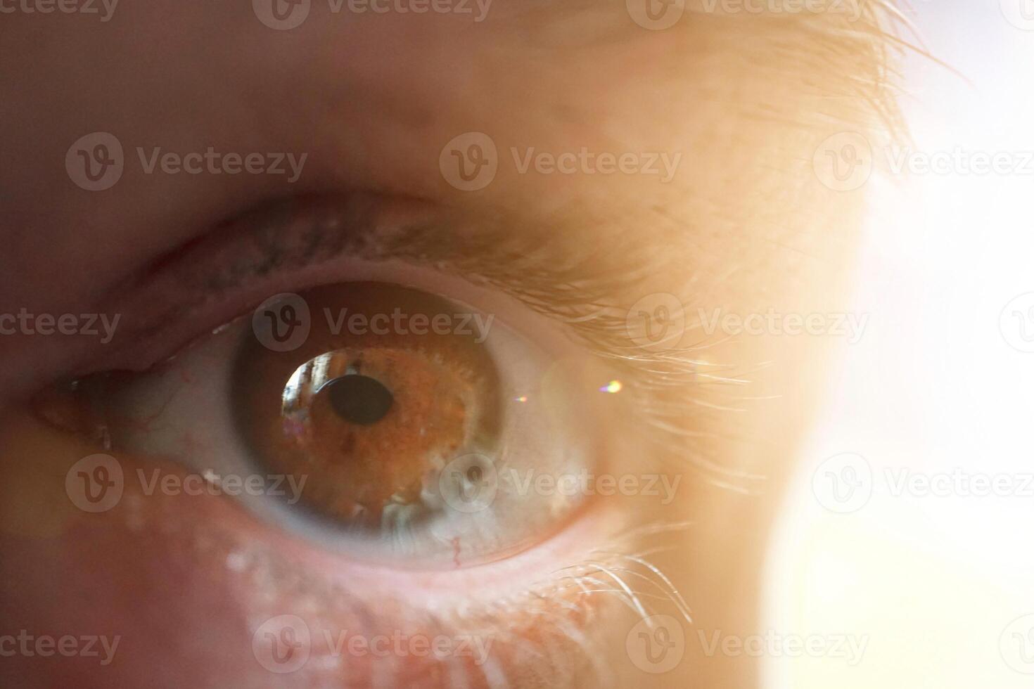 man eye looking at camera, brown eye photo