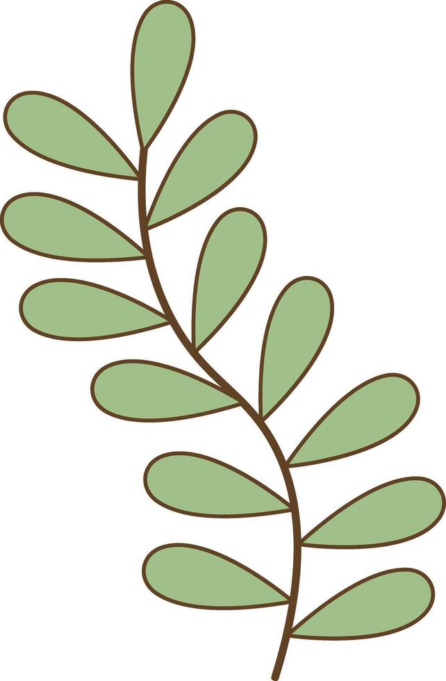 Hand Drawn Floral Botanical Branch in Minimalist Style. Isolated Illustration on White Background vector