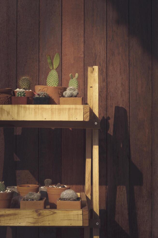 Various little cactus in wooden shelf with sunlight and shadow on surface of wooden wall background in vintage tone style and vertical frame photo