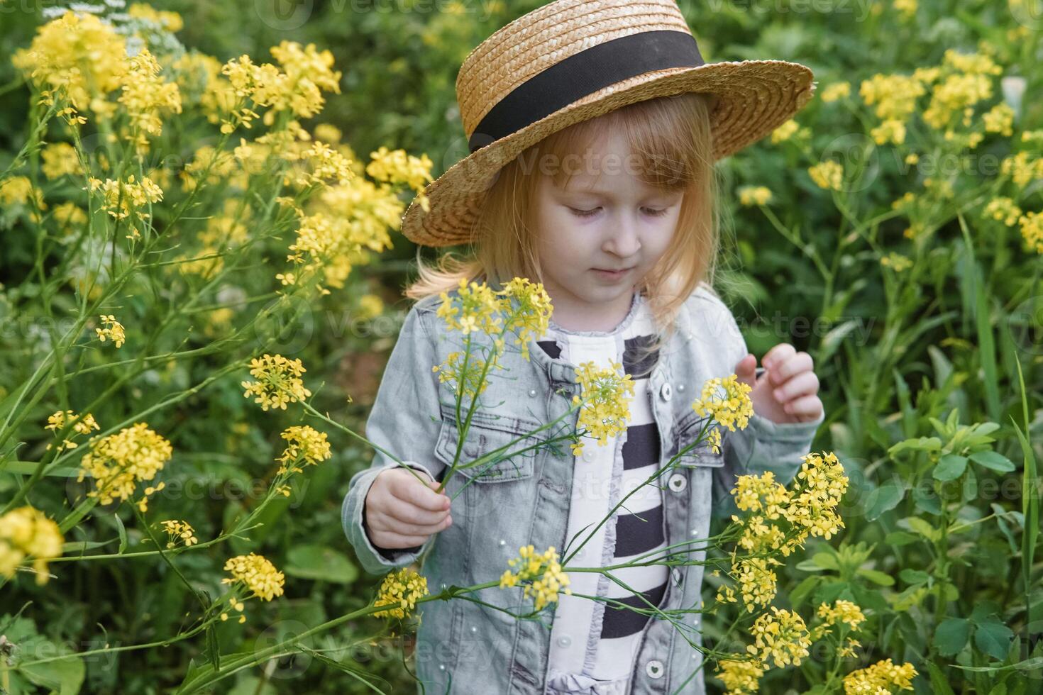 Blonde girl in a field with yellow flowers. A girl in a straw hat is picking flowers in a field. A field with rapeseed. photo