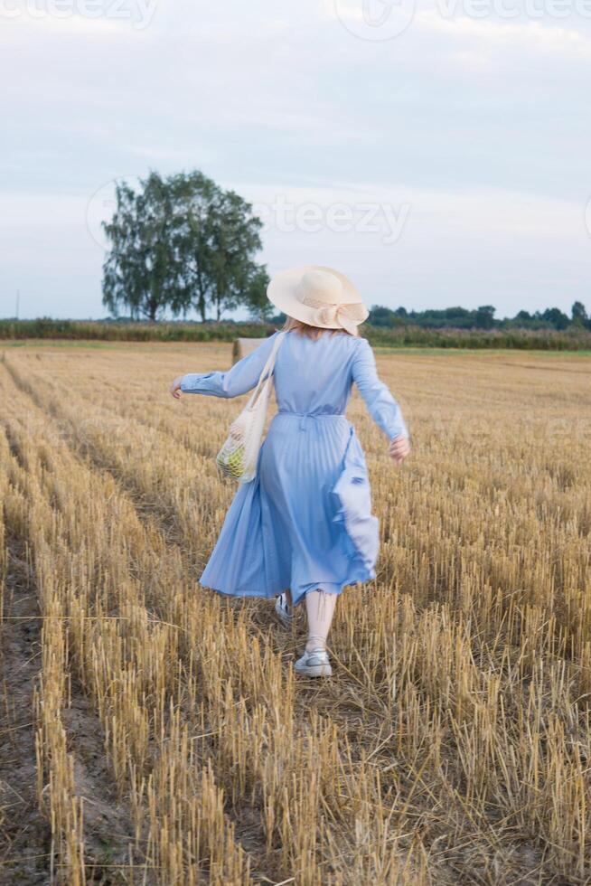 A red-haired woman in a hat and a blue dress walks in a field with haystacks. The view from the back. photo