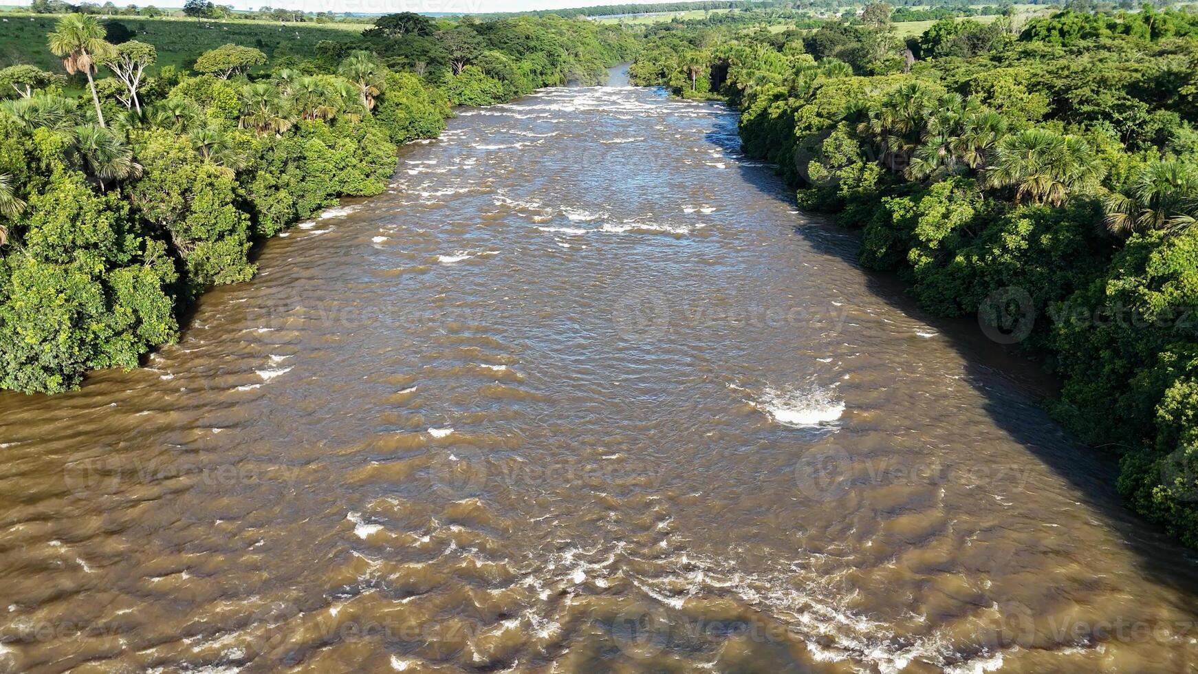 apore río con marrón agua y ribereño bosque durante el día foto